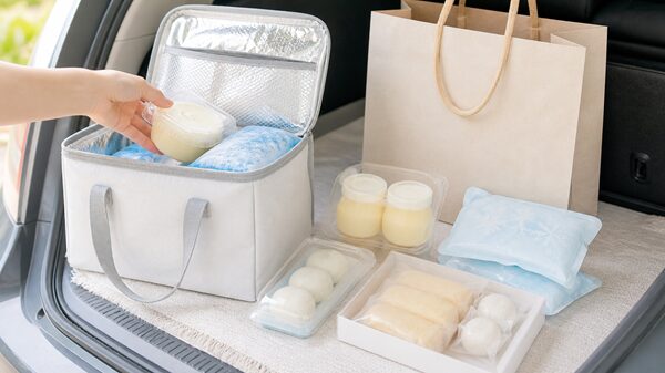道の駅で買った冷蔵のお土産を保冷バッグと保冷剤で持ち帰る準備をしているやさしいイラスト