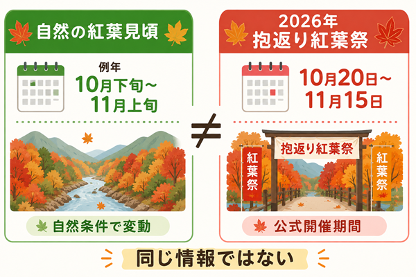 自然の紅葉見頃と2026年紅葉祭期間を比較した図