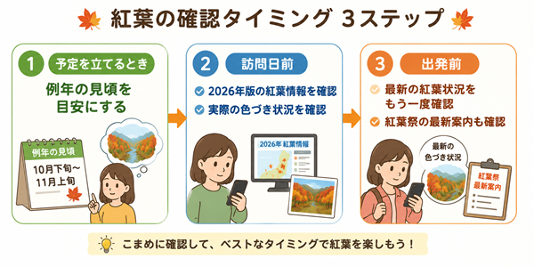 紅葉情報を予定時・訪問前・出発前に確認する流れ